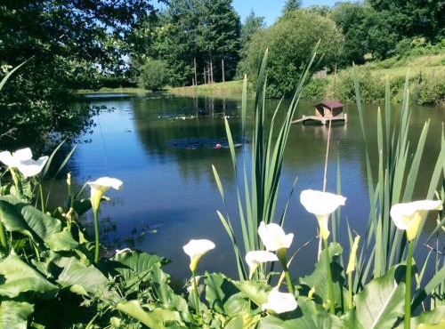 Gite 1 Arum, la Sapinière-24300-parc-3ha-piscine-étang-mini golf