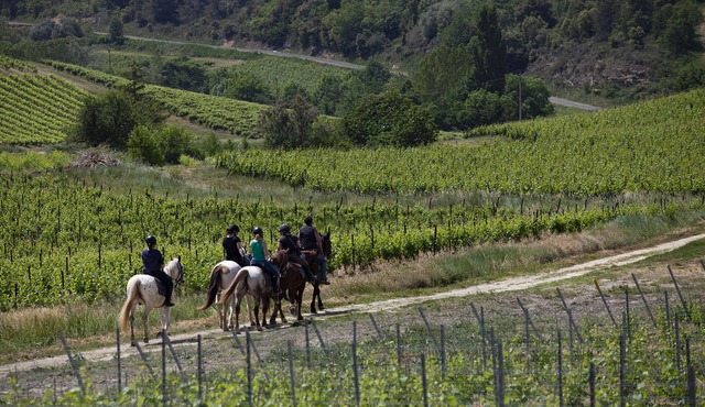 Gite (18p) in the heart of nature, many outdoor activities