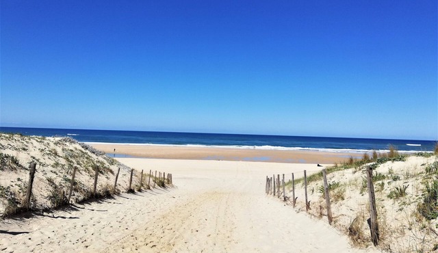 GITE 3* proche océan, jardinet, piscine LANDES 590 E A 780 EUROS