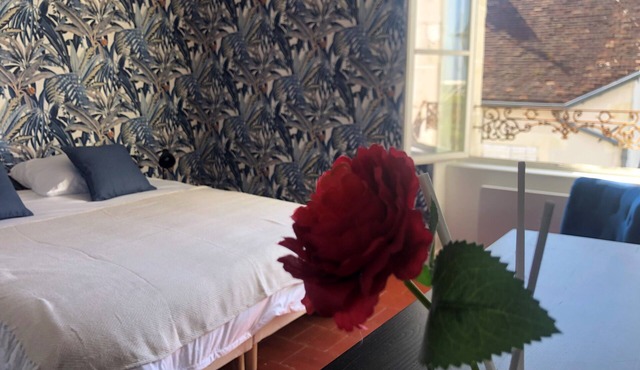 Gite 9 persons near BEAUVAL Zoo, Châteaux de la Loire, Pellevoisin