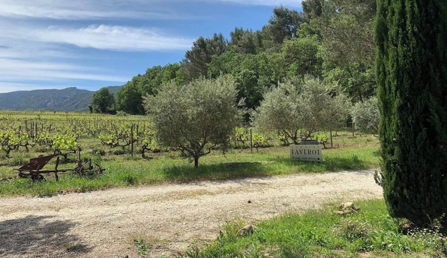 Gîte Amandier - in the Provencal farmhouse of Domaine Faverot