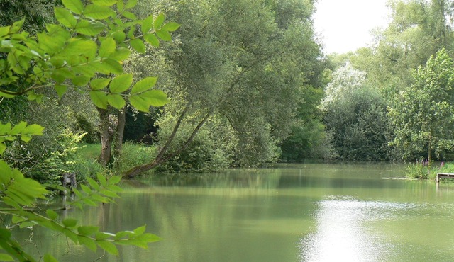 Gîte and pond access