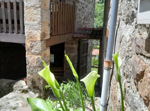 GITE ASINA chez GITE QUE CANTA