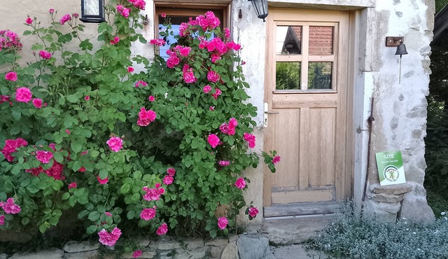 Gite at Col de La croisette between Jura and Alps near Geneva