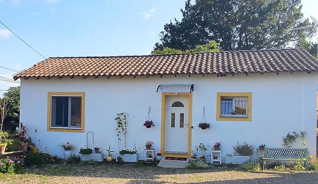 Gite aux Fleurs - HAGETMAU