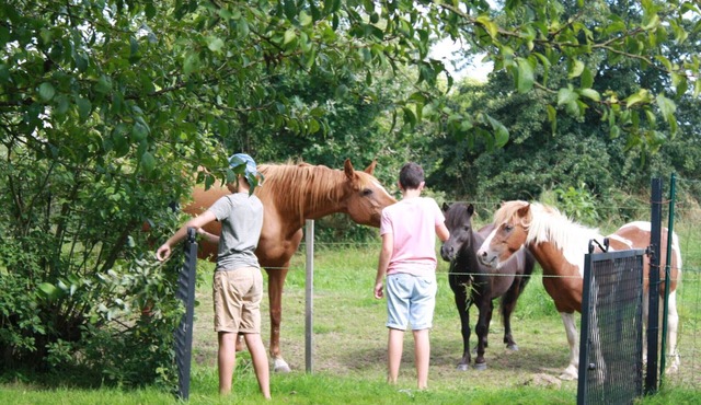 Gite Bénaménil, 4 bedrooms, 6 persons