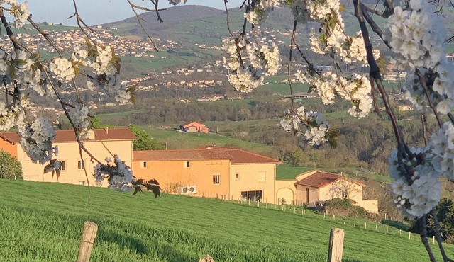 Gîte "Belle Vue" near Lyon in Savigny in the heart of nature with magnificent views