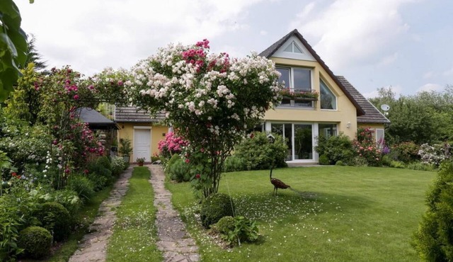 Gîte between vineyards and mountains, close to Colmar and its wine route.