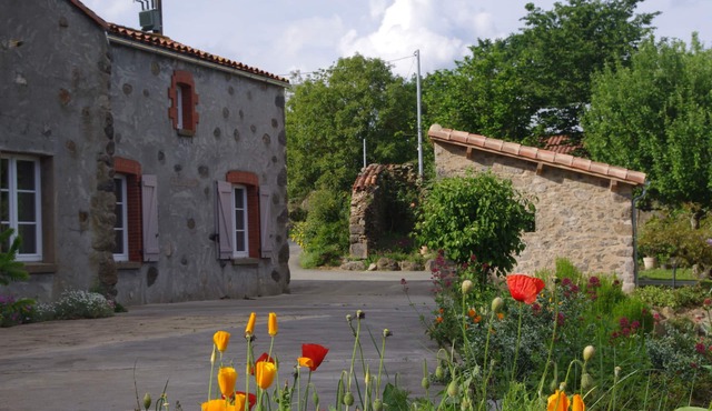 Gîte bocage Vendéen: 15 km from the Grand Parc Puy du Fou in the heart of nature.