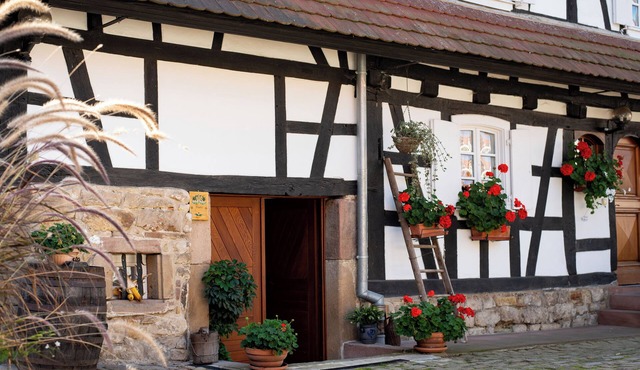 Gite "Cathel" in one of France's most beautiful villages, Hunspach.