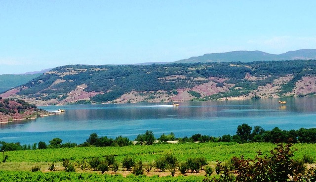 Gîte Ceberou facing the lake, shared garden and swimming pool