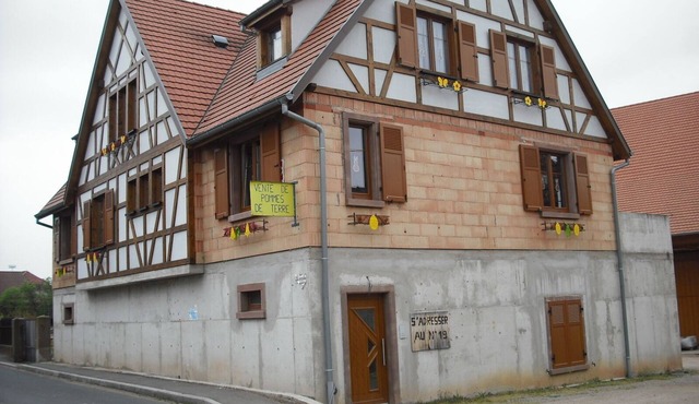 Gite center Alsace at the foot of Haut Koenigsbourg N°1