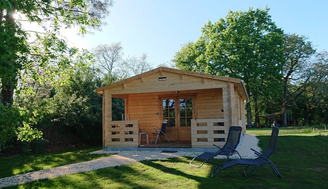 Gite chalet in Périgord Noir with swimming pool and Finnish sauna
