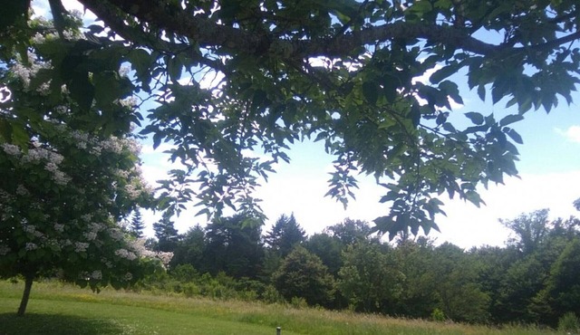 Gite Champagnac-de-Belair, 2 bedrooms, 5 persons