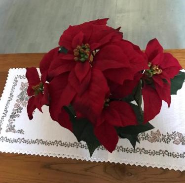 Gite chez Annette et Pierre Weber