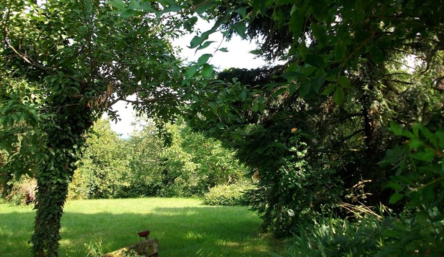 Gite classified La Trémelière facing the vineyards and the plain at the foot of the mountain