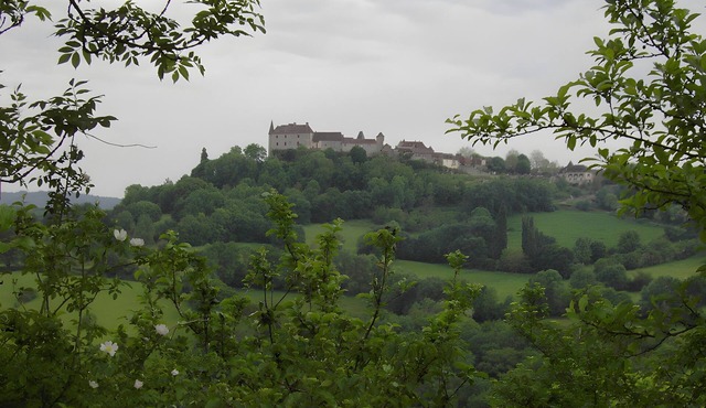 Gîte Colette: Holiday Home with Private Terrace and Wi-Fi in Loubressac