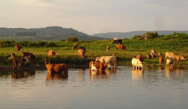 Gite Corravillers, 4 bedrooms, 8 persons