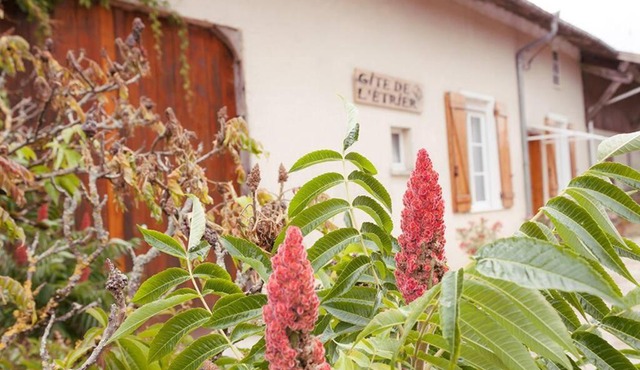 Gite de l Étrier 3 étoiles plus fibre avec étang de pêche
