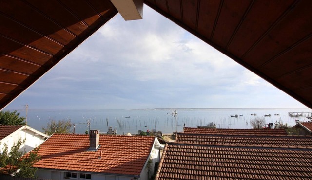 Gite DE L'ile AUX Oiseaux