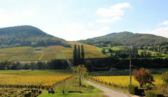 Gîte de "La Bauderie", in the heart of the Mâconnais vineyards