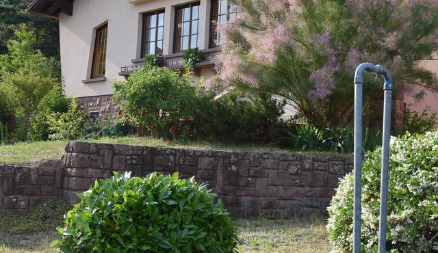 Gite de la Fontaine: gite * on the heights of Val d´Argent center Alsace