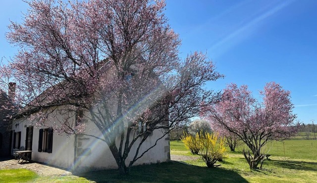 Gîte de la fontaine salée, a haven of peace in the heart of the Auxois meadows.