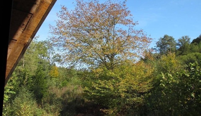 Gite de la Serrée en Morvan