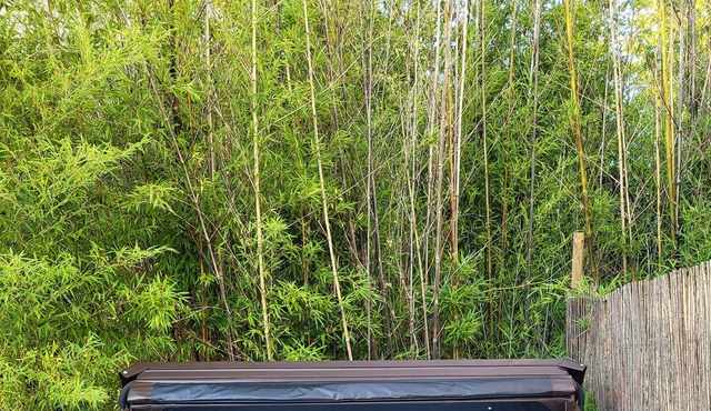 Gite de Montricoux - Large detached House with enclosed Garden