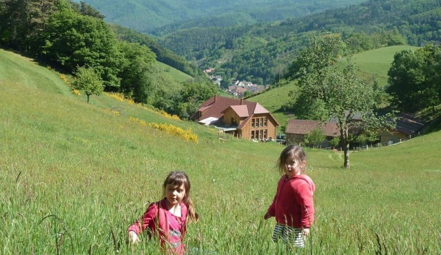 Gite de Pierreusegoutte A et B