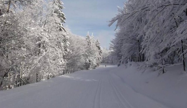 Gite DES Amoureux DE LA Nature