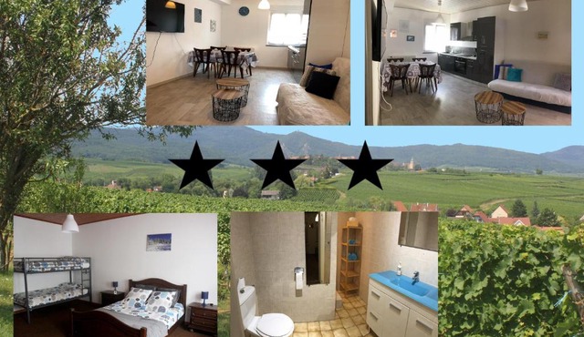 Gite des cigognes bleu