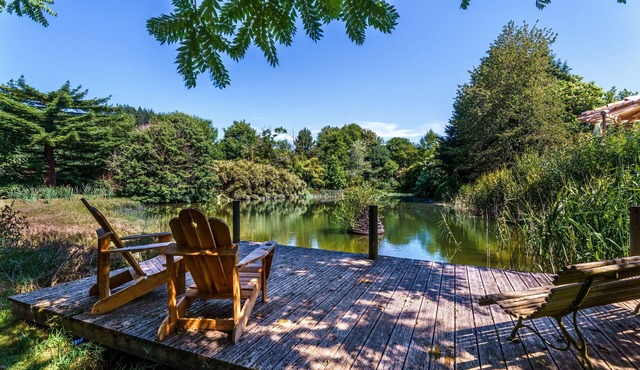 Gite des fleurs - Epilobe