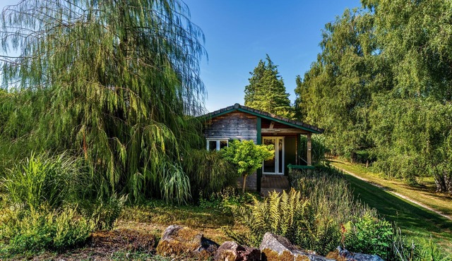 Gite des fleurs - Luzule