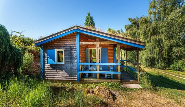 Gite des fleurs - Pervenche