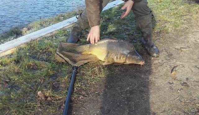 Gite Deux-Chaises, 3 bedrooms, 6 persons