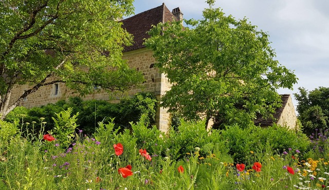 Gite Dordogne, 5 bedrooms, 5 bathrooms for 9 people. Charm and space.