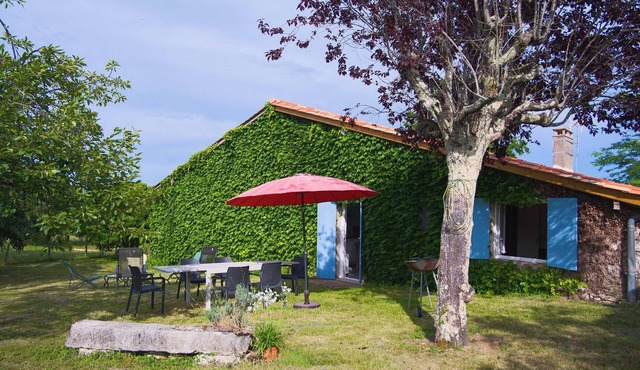 Gîte du Vigneron – Bucolic Getaway in the Heart of the Vineyards