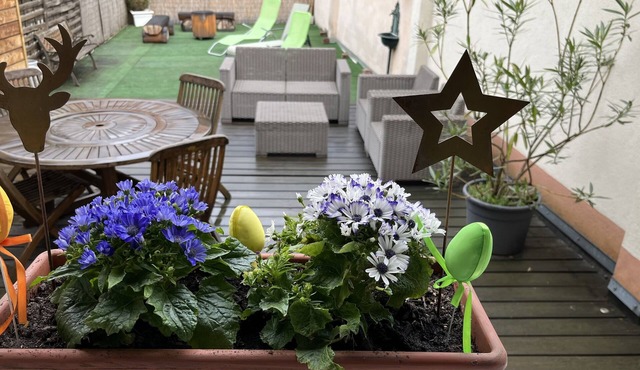 Gite Edelweiss with terrace and parking in the heart of Eguisheim, 10km from Colmar