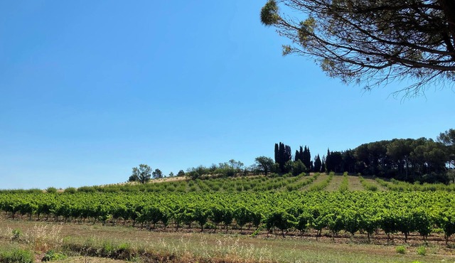 Gite Eloïse @Domaine de la Lande 10 minutes from Carcassonne airport.