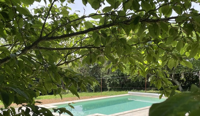 Gite Fargues, 1 bedroom, 4 persons