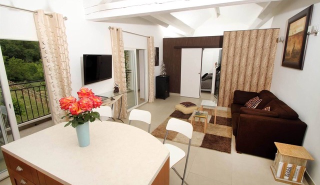 Gite Faustin en bordure de rivière, espace bien-etre, jacuzzi, piscine, plancha