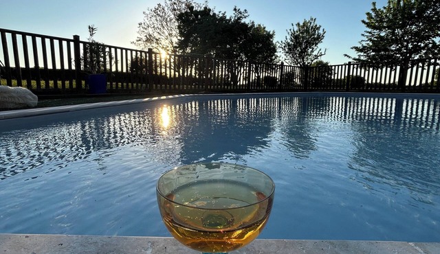 Gite for 20 people with swimming pool and SPA