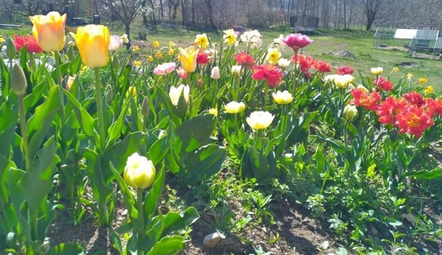 GITE FOR 9 PEOPLE IN A DREAM SETTING