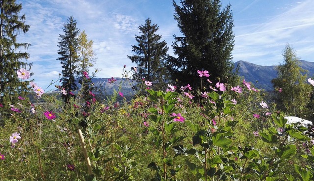 Gîte for up to 12 people in the heart of nature
