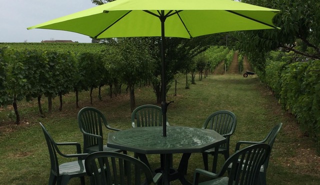 GITE DU CLOS CHAMP DE MARS - 3 *