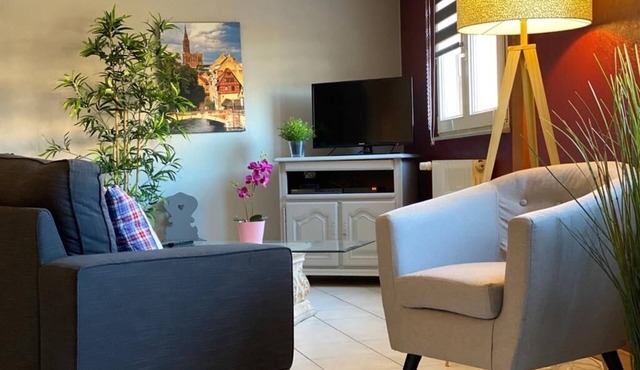 Gite géranium located in Eguisheim with private parking, 10km from Colmar