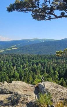 Gite Grand Confort en pleine nature - Le Perchoir de l'Olme
