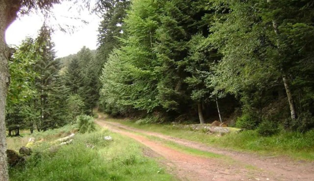Gîte Hansel, on the edge of a stream