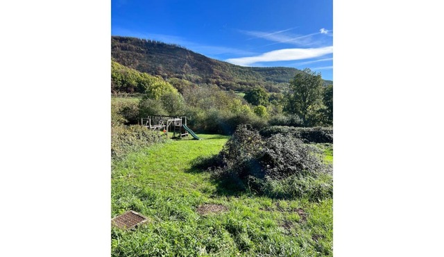 Gite Herisson, Nid Pour Amoureux Dans la Nature